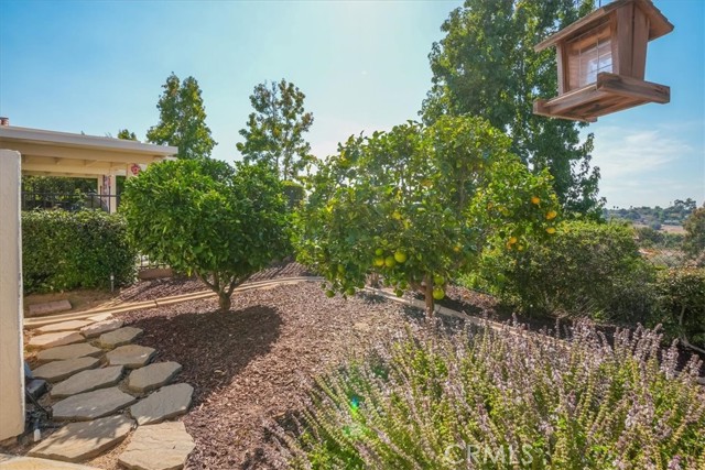 Detail Gallery Image 44 of 54 For 1073 Ridge Heights Dr, Fallbrook,  CA 92028 - 3 Beds | 2/1 Baths