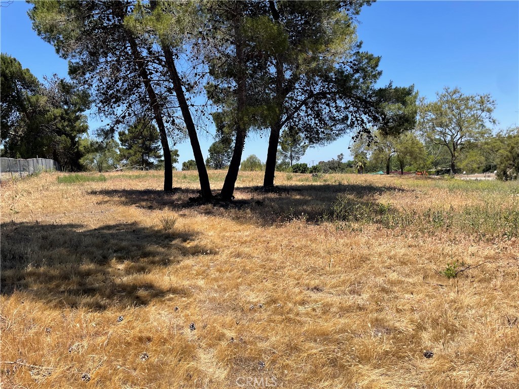 Linda Vista Drive - photo 14