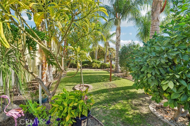 Detail Gallery Image 6 of 37 For 571 Oriole, Corona,  CA 92879 - 4 Beds | 2 Baths