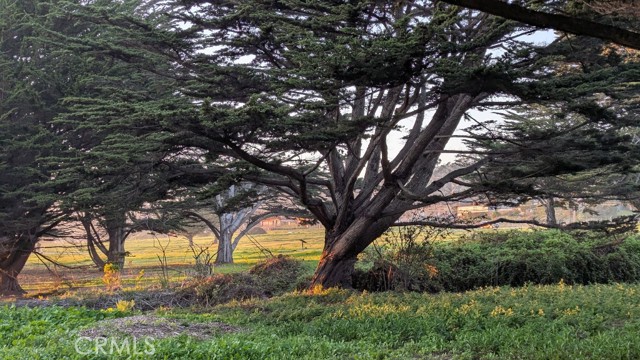 121 Magellan Avenue, Half Moon Bay CA: https://media.crmls.org/medias/20b2f2cb-e273-4fc7-aeaa-74299e19e797.jpg