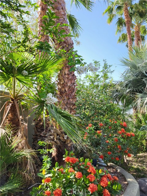 54030 Eisenhower Drive, La Quinta CA: https://media.crmls.org/medias/20ba7d53-f1cd-4ec2-8612-3d7a16648ab9.jpg