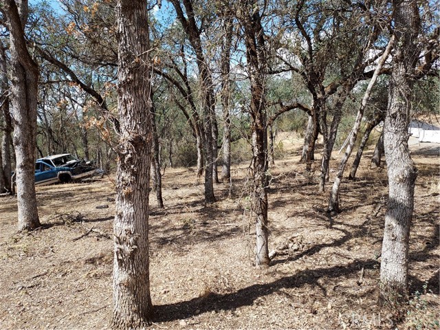 16113 13th Avenue, Clearlake, CA, 95422 16113 13th Avenue, Clearlake, CA, 95422