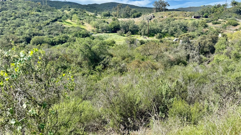 Twin Oaks Valley San Marcos