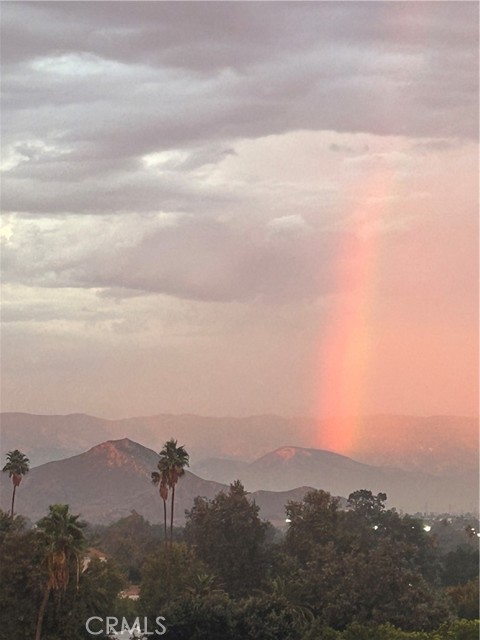 Detail Gallery Image 66 of 67 For 2715 Brockton, Riverside,  CA 92501 - 4 Beds | 2 Baths