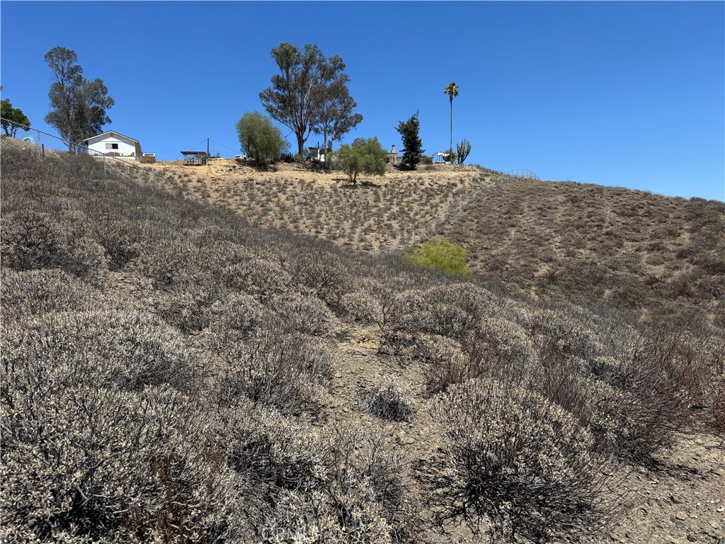 MLS #SW25170970 image #4