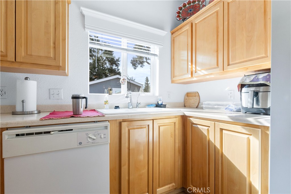 1256 Camino Del Roble 41