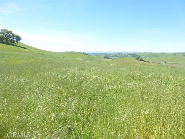 Detail Gallery Image 18 of 44 For 0 Douglas Rd. (Lot 34), San Miguel,  CA 93451 - – Beds | – Baths