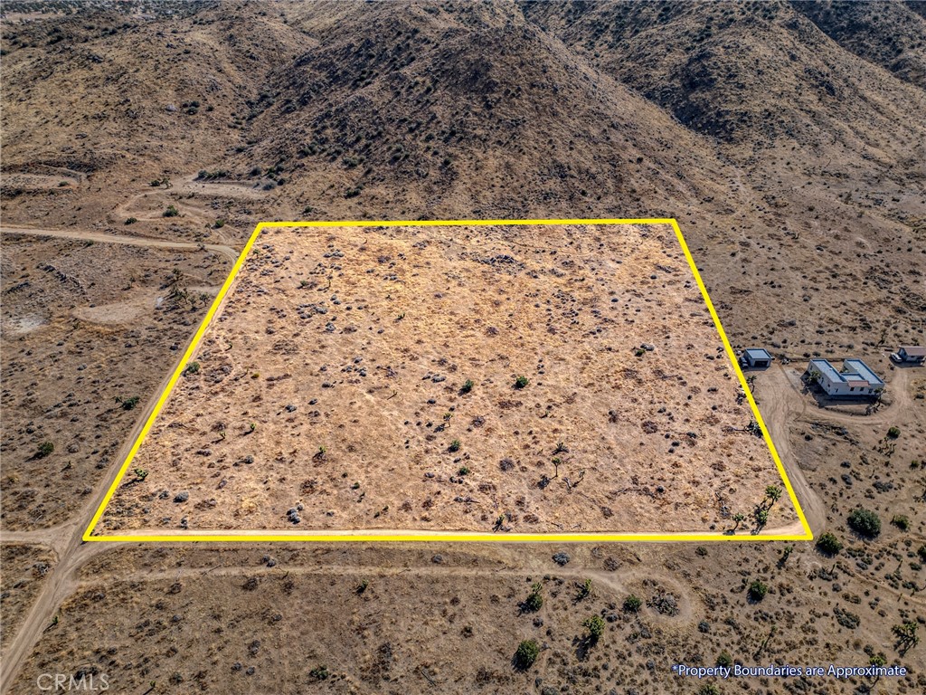 MLS #JT25046600 image #9