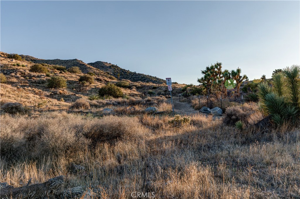 MLS #JT25229239 image #34