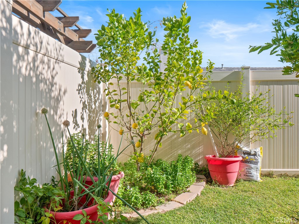 https://media.crmls.org/medias/20e8ced1-9045-4e26-9e7d-959d39c22b05.jpg?preset=X-Large