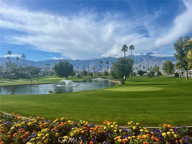 Detail Gallery Image 17 of 29 For 69411 #360 Ramon, Cathedral City,  CA 92262 - – Beds | – Baths