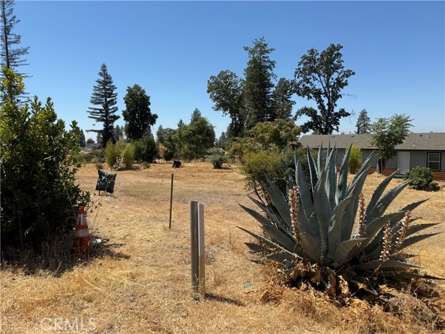 5797 Inez Way, Paradise CA: https://media.crmls.org/medias/20f04bb7-a74e-44c5-ac51-ef9988c5e079.jpg