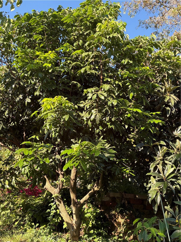 https://media.crmls.org/medias/20f16467-487f-4ccd-8c07-d9cf72fbe0fa.jpg?preset=X-Large
