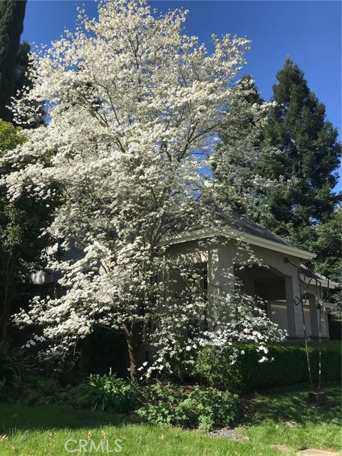 Detail Gallery Image 55 of 59 For 1975 Heritage Oak, Chico,  CA 95928 - 3 Beds | 2 Baths