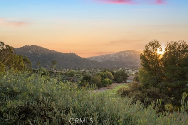 Detail Gallery Image 3 of 42 For 45213 Callesito Ordenes, Temecula,  CA 92592 - 4 Beds | 2/1 Baths