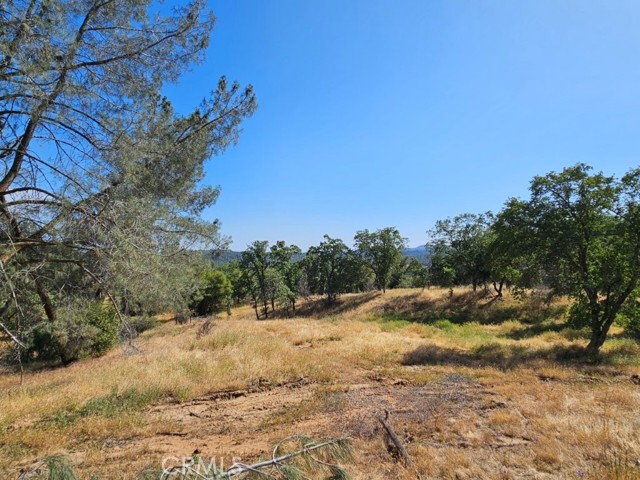 4223 Woodview Lane, Mariposa CA: https://media.crmls.org/medias/20f8dc1e-1f58-4f46-bde2-9a5185c1b333.jpg