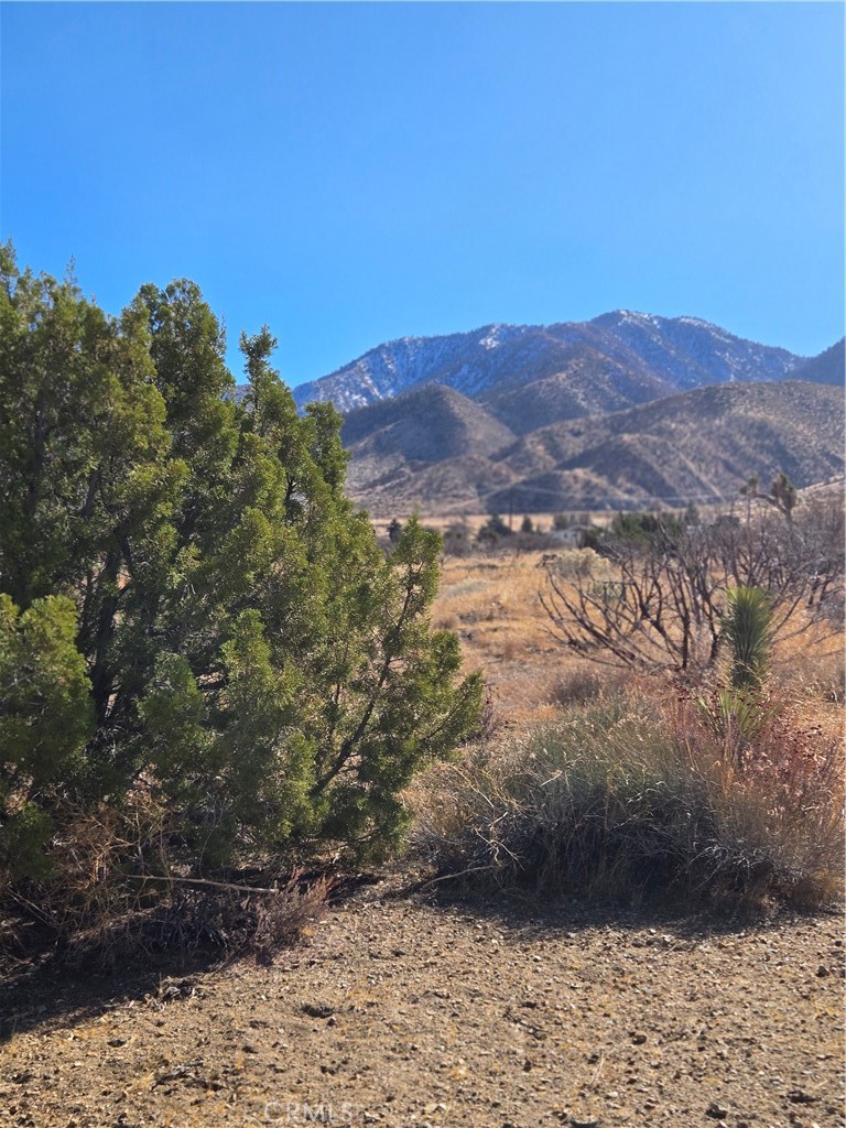 MLS #IG25037440 img 8