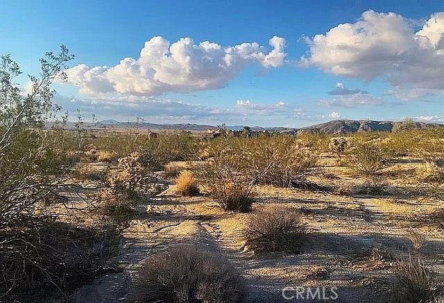 66058 Foothill Drive, Joshua Tree, California 92252, ,Land,For Sale,66058 Foothill Drive,CROC23216688