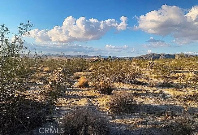 MLS #OC23216688 image #2
