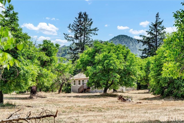22550 Shady Grove Road, Middletown CA: https://media.crmls.org/medias/21064874-1de8-46c6-a540-81b8f3284b9a.jpg