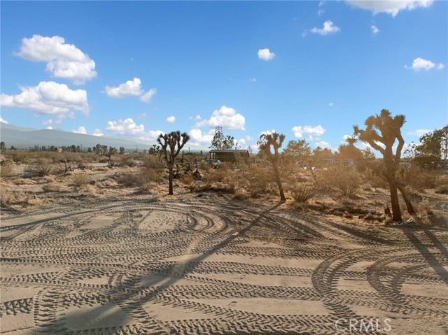 Detail Gallery Image 34 of 39 For 12526 Ponderosa Rd, Pinon Hills,  CA 92372 - 3 Beds | 2 Baths