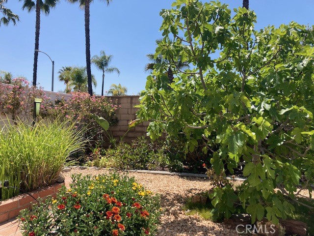 Detail Gallery Image 26 of 66 For 40461 via Siena, Murrieta,  CA 92562 - 2 Beds | 2 Baths