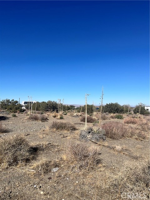 Front Image Thumbnail for CRHD25252644