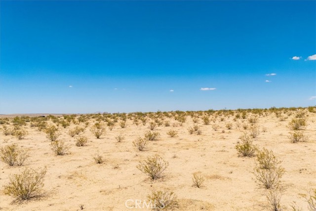 MLS #JT25263725 image #8