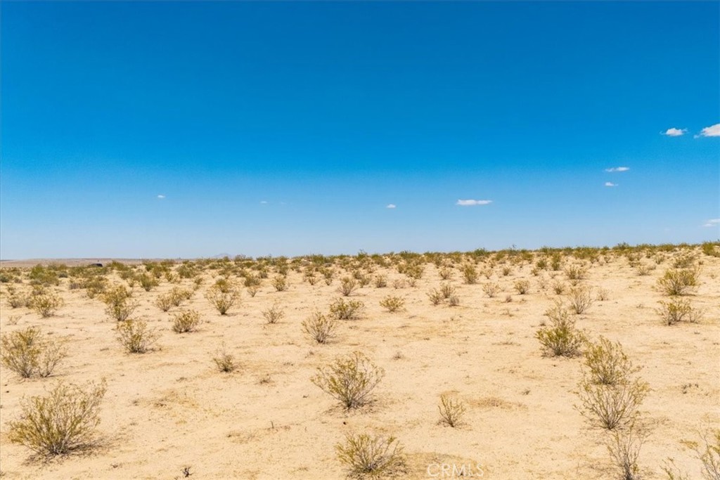 MLS #JT25263725 image #8