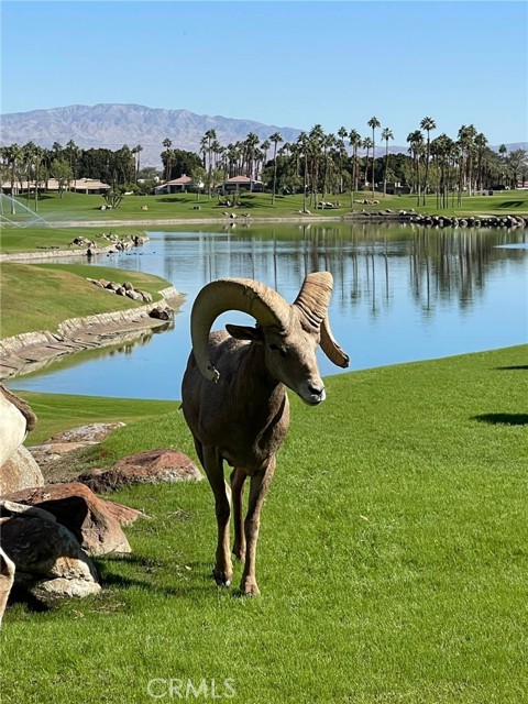 Detail Gallery Image 41 of 41 For 54873 Southern Hills, La Quinta,  CA 92553 - 3 Beds | 3/1 Baths