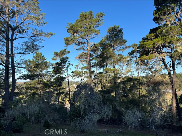 Detail Gallery Image 13 of 13 For 3235 Rogers, Cambria,  CA 93428 - – Beds | – Baths