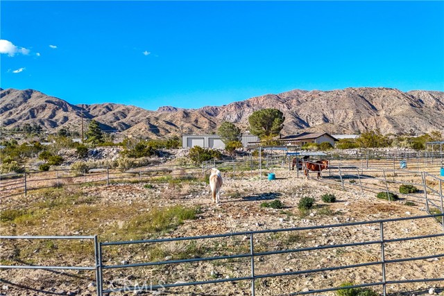 Detail Gallery Image 38 of 70 For 8949 Desert Willow Trl, Morongo Valley,  CA 92256 - 3 Beds | 2 Baths