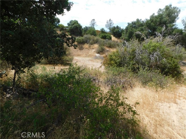 9890 Huer Huero Road, Creston, California 93432, ,Land,For Sale,9890 Huer Huero Road,CRNS23140865