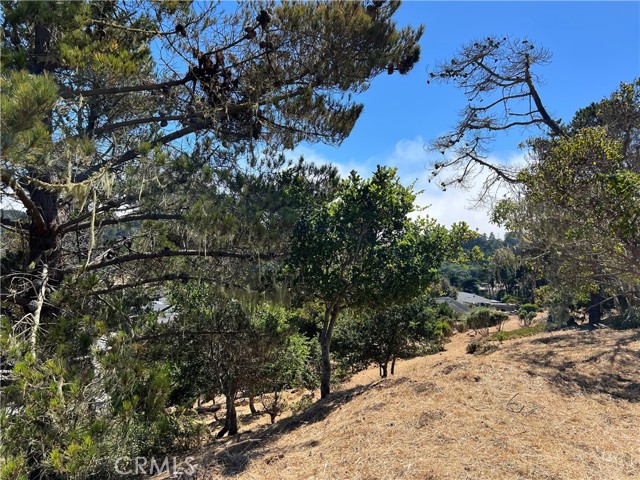 4925 Grove Street, Cambria, California 93428, ,Land,For Sale,4925 Grove Street,CRSC23001880