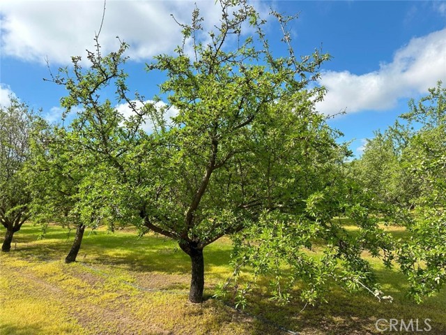 Detail Gallery Image 6 of 7 For 8530 N Winton Way, Winton,  CA 95388 - 3 Beds | 1 Baths