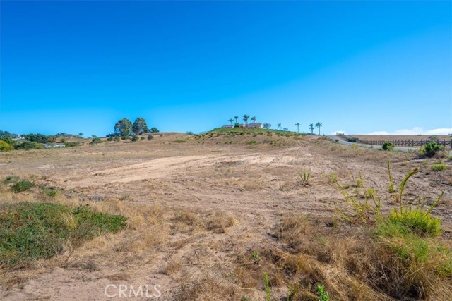 1685 Scenic View Way, Nipomo CA: https://media.crmls.org/medias/2136d422-863b-4eb0-ab8e-c1ba67f93a8c.jpg