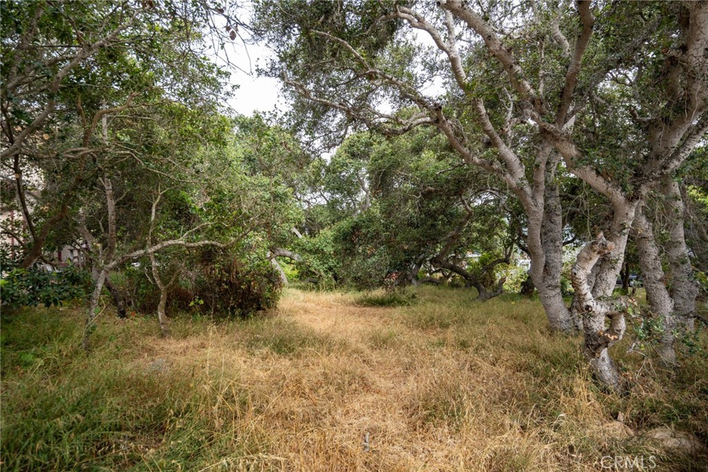 MLS #SC25145989 image #3