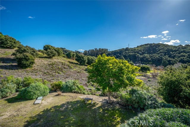 Detail Gallery Image 33 of 75 For 1640 Corbett Canyon Road, Arroyo Grande,  CA 93420 - 4 Beds | 3/2 Baths