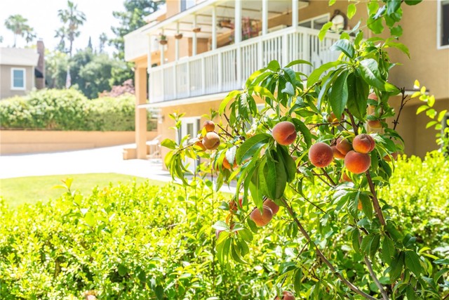 1377 Knoll Road, Redlands CA: https://media.crmls.org/medias/213c8905-36fe-47ed-8270-5ccf1e0ef5f6.jpg