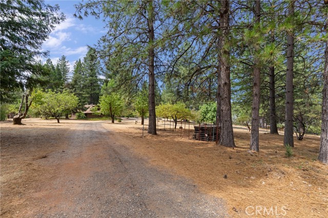 Detail Gallery Image 66 of 72 For 15414 English Ln, Forest Ranch,  CA 95942 - 3 Beds | 2 Baths