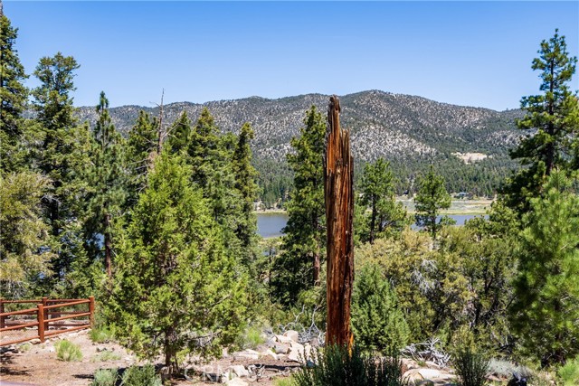 Detail Gallery Image 39 of 50 For 42728 Timberline, Big Bear Lake,  CA 92315 - 3 Beds | 3/1 Baths
