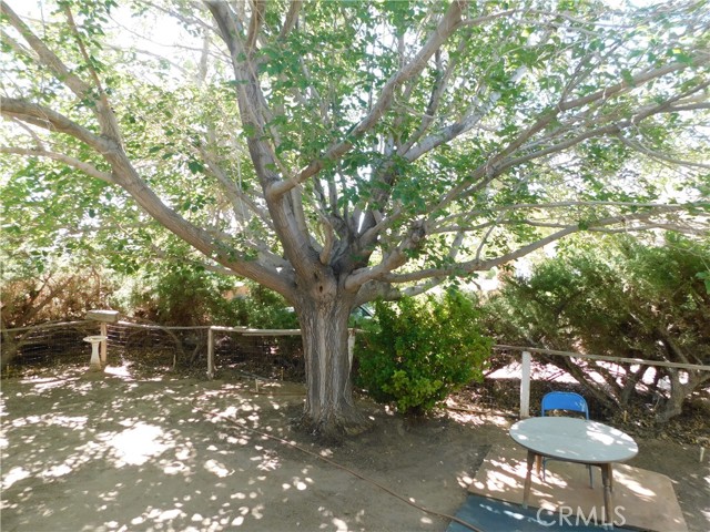 Detail Gallery Image 55 of 67 For 45985 Cottonwood Rd, Newberry Springs,  CA 92365 - 4 Beds | 5/1 Baths