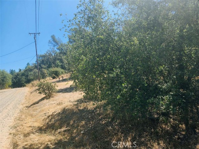 Detail Gallery Image 11 of 21 For 48 Rices Texas Hill Rd, Oregon House,  CA 95962 - – Beds | – Baths