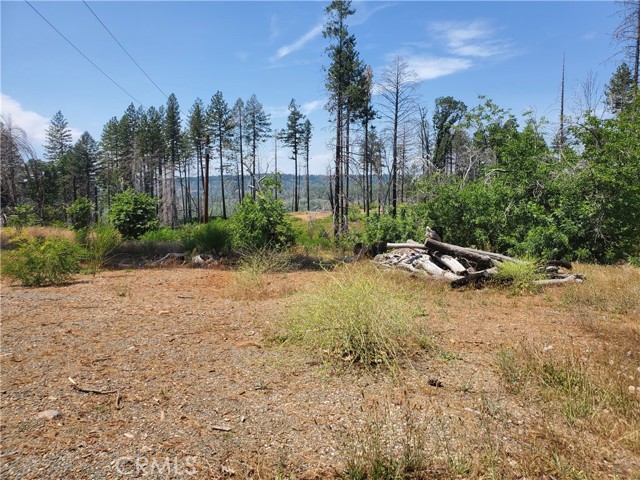 8819 Skyway, Paradise, California 95969, ,Land,For Sale,8819 Skyway,CRSN23115047