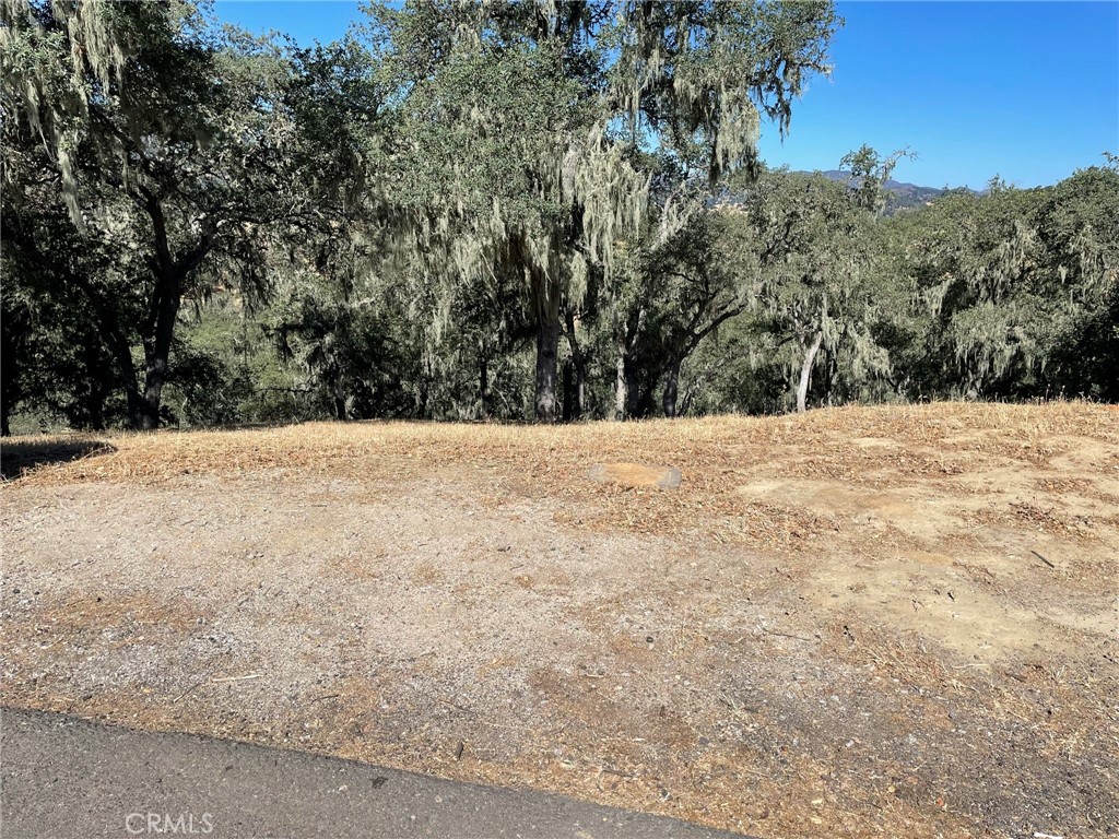 2171 Ridge Rider Road, Bradley, CA 93426