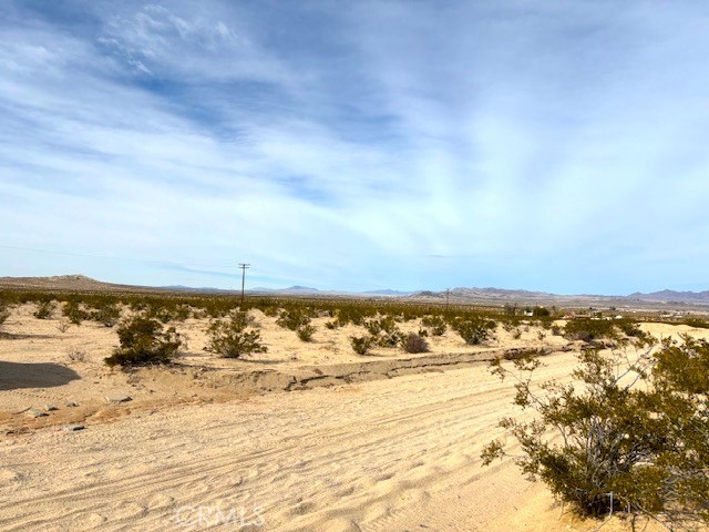 Detail Gallery Image 8 of 10 For 0 Primrose Ln, Twentynine Palms,  CA 92277 - – Beds | – Baths