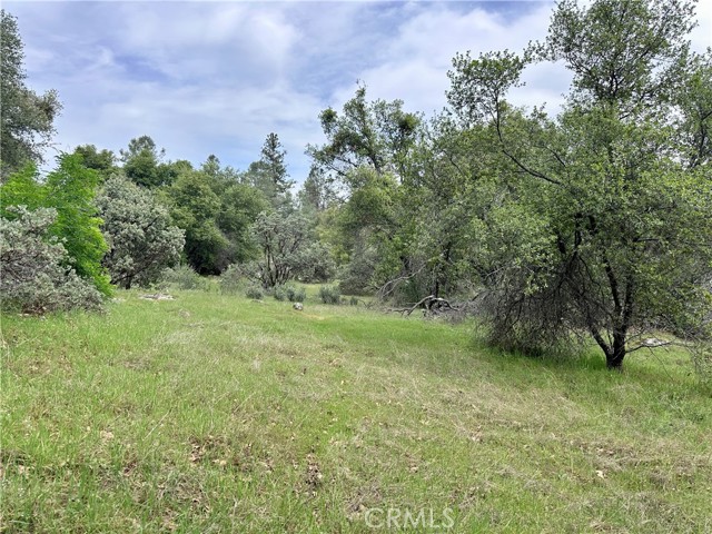 3038 Country Court, Mariposa CA: https://media.crmls.org/medias/215df86c-eca1-4438-9fd0-265e888cd16d.jpg