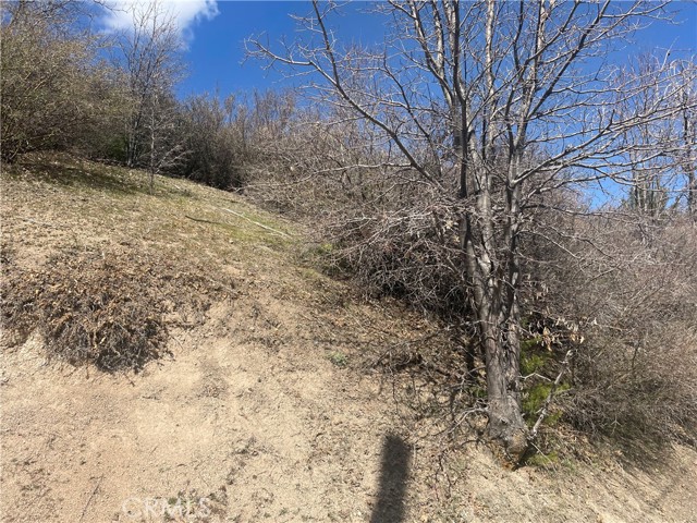 Detail Gallery Image 4 of 14 For 0 Pine Dr, Cedar Glen,  CA 92321 - – Beds | – Baths