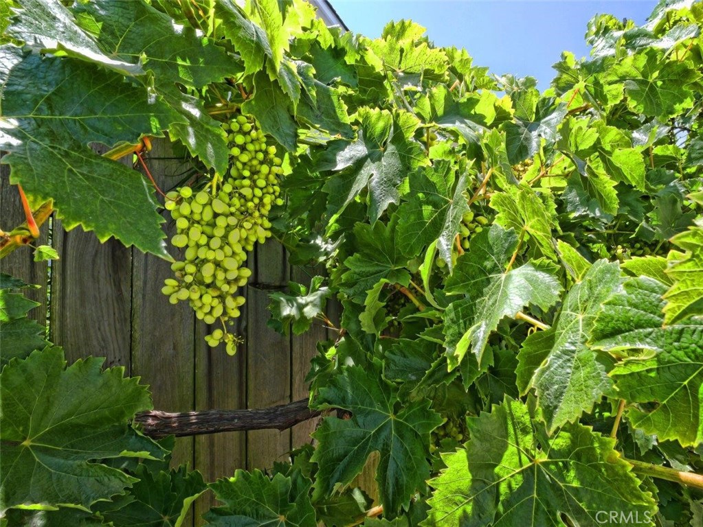 https://media.crmls.org/medias/21616289-8d0b-46aa-b7c0-5d99d6ebc687.jpg?preset=X-Large