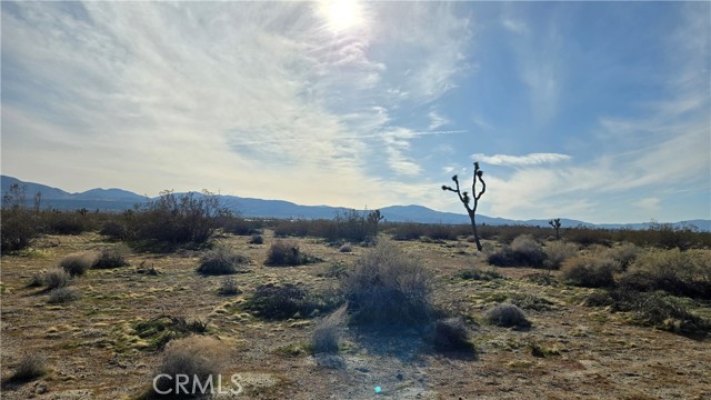 Detail Gallery Image 12 of 21 For 0 115th St East S/O Ave S, Littlerock,  CA 93543 - – Beds | – Baths